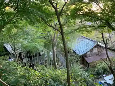 長谷寺(神奈川県)