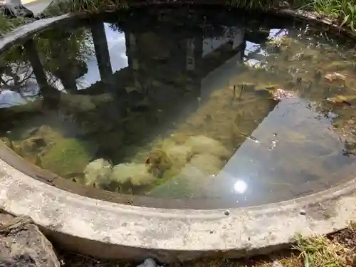 野坂寺(埼玉県)