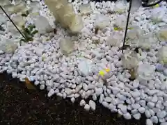 浅草神社の庭園