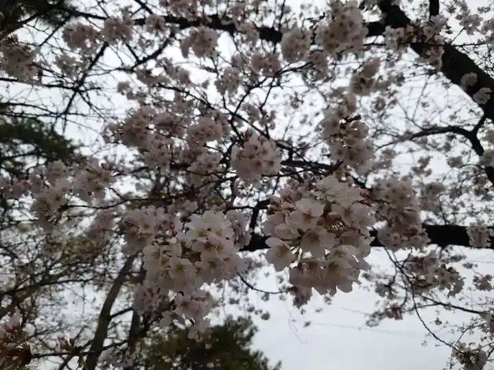 鹿苑神社の自然