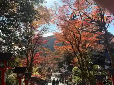 鞍馬寺(京都府)