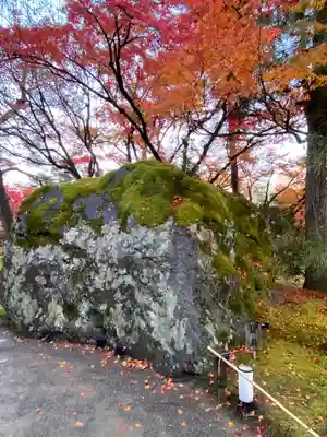 宝厳院(京都府)