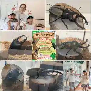 金蛇水神社(宮城県) 2024年07月26日(金)〜(2024年07月26日(金) 11時09分47秒投稿)