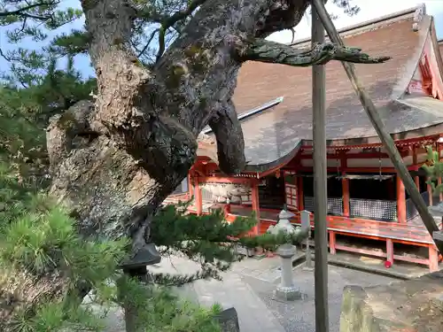 日御碕神社の本殿