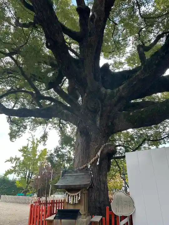 百舌鳥八幡宮(大阪府)
