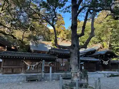 多賀神社（尾張多賀神社）(愛知県)