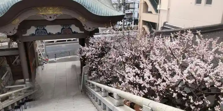 湯島天満宮(東京都)