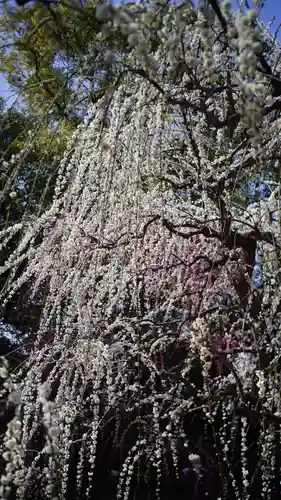 城南宮(京都府)