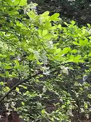 白石神社(北海道)