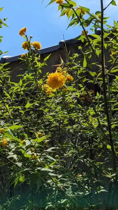 惠心院(京都府)