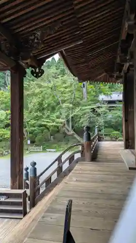 園城寺（三井寺）(滋賀県)