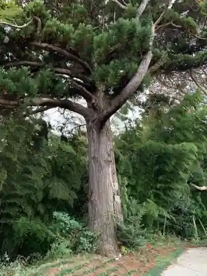 熊野大神(千葉県)