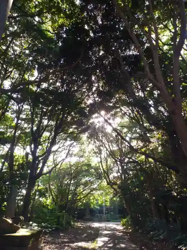 渡海神社の自然