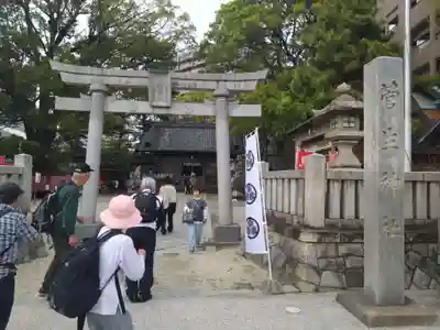 菅生神社(愛知県)