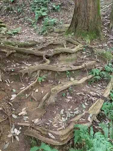 小松寺(茨城県)