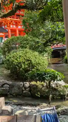 賀茂別雷神社（上賀茂神社）(京都府)