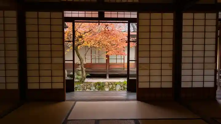 興聖寺(京都府)