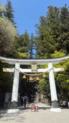 宝登山神社の{uncategorized: "未分類", other: "その他", undefined: "問題あり", building: "その他建物", grave: "お墓", sacred_gate: "鳥居", guardian: "狛犬", statue: "像", buddha: "仏像", history: "歴史", nature: "自然", garden: "庭園", animal: "動物", pagoda: "塔", temizu: "手水舎", mountain_gate: "山門・神門", sanctuary: "本殿・本堂", subordinate: "末社・摂社", art: "芸術", scenery: "景色", jizo: "地蔵", ema: "絵馬", goshuin: "御朱印", omikuji: "おみくじ", items: "授与品その他", amulet: "お守り", goshuincho: "御朱印帳", eats: "食事", festival: "お祭り", votive_dance: "神楽", shichigosan: "七五三参", wedding: "結婚式", experience: "体験その他", initially: "初詣", around: "周辺", anti_infection: "感染症対策"}