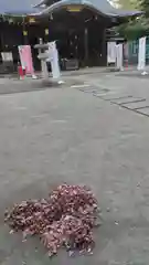 渋谷氷川神社(東京都)