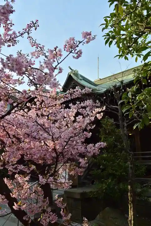 桜神宮(東京都)