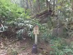 天の岩戸(飛騨一宮水無神社奥宮)の自然