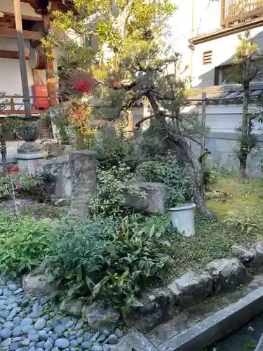 證行寺(京都府)