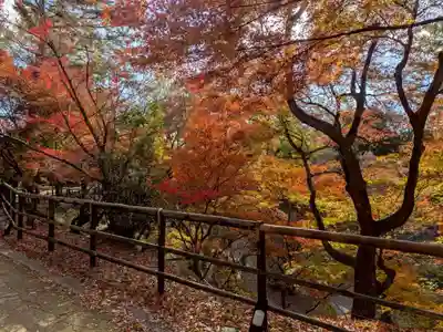 北野天満宮(京都府)
