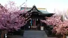 桜神宮の自然