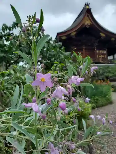 沙沙貴神社(滋賀県)