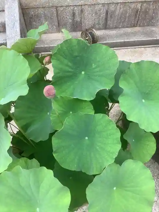 海蔵寺(愛知県)