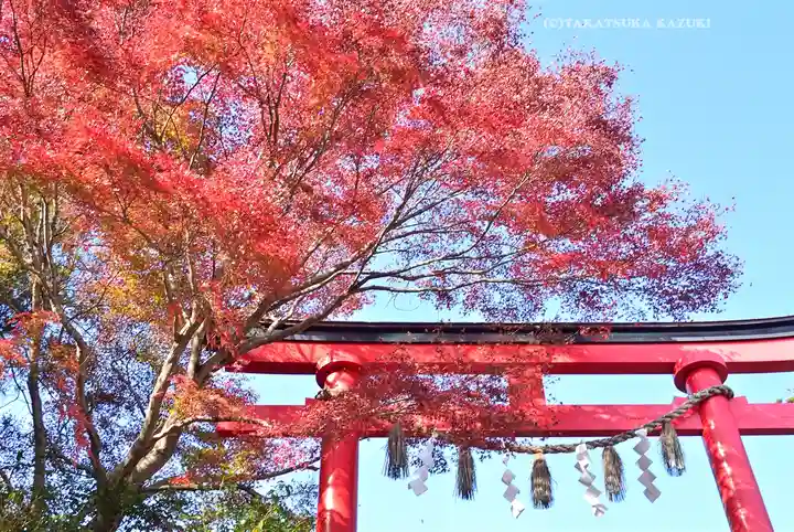 高尾山薬王院(東京都)