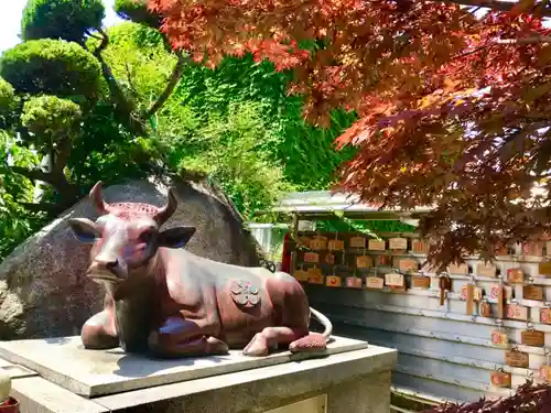 加賀屋天満宮の狛犬