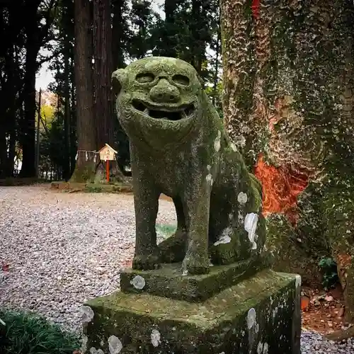 間々田八幡宮の狛犬