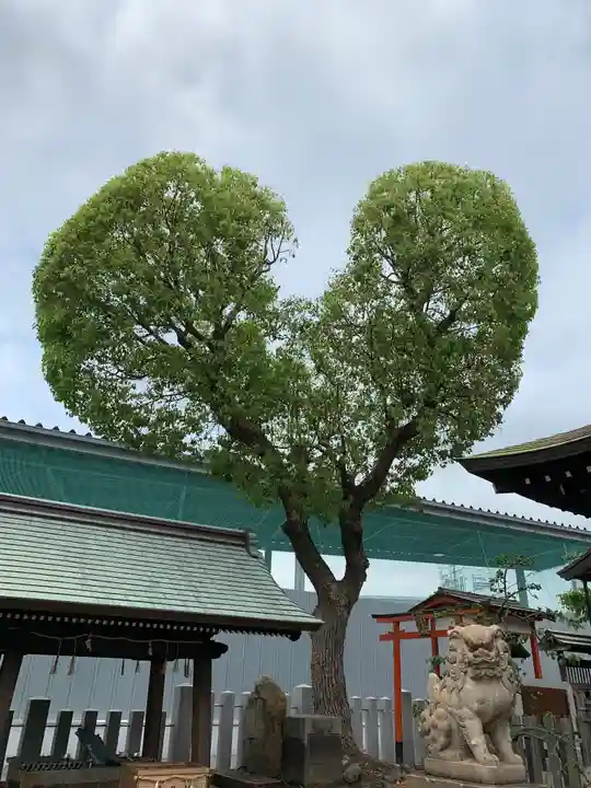 南宮宇佐八幡神社(脇浜神社)の自然