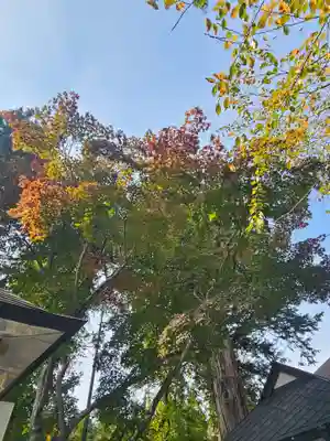 恵隆寺(立木千手観音)(福島県)