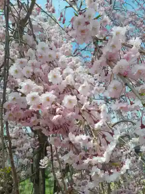 身照寺(岩手県)