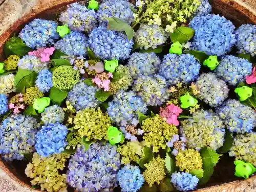 立志神社の手水舎