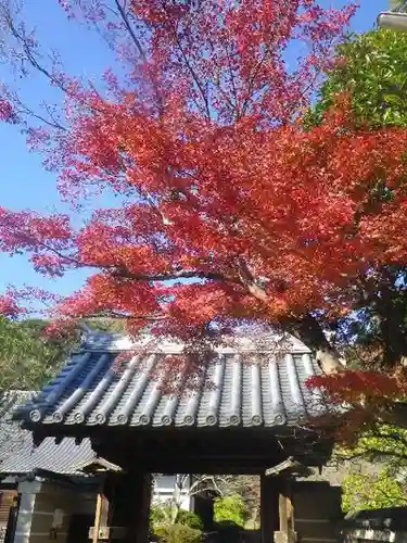 浄光明寺の山門