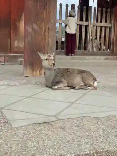 東大寺戒壇院戒壇堂(奈良県)