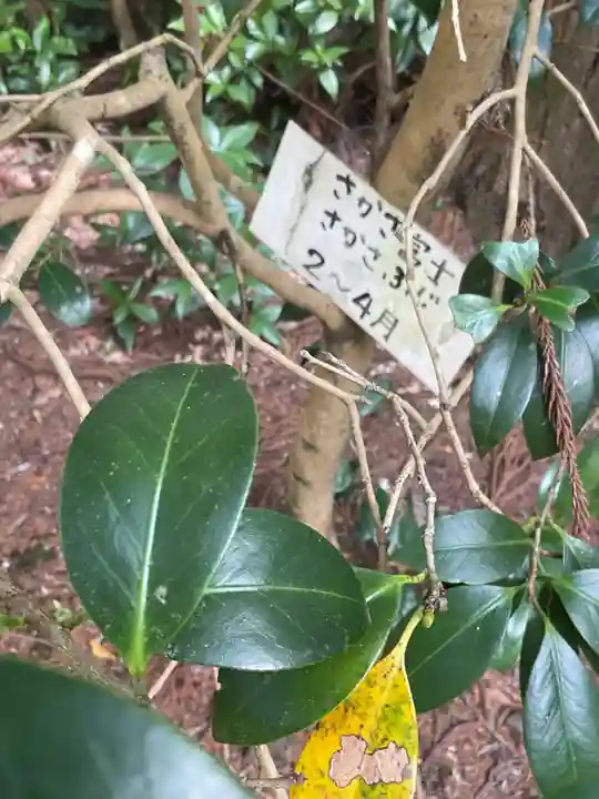 大智寺(岐阜県)