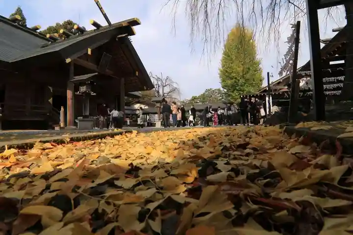 開成山大神宮の本殿・本堂