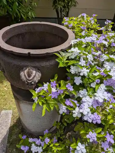 源空寺(東京都)