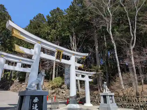 三峯神社(埼玉県)