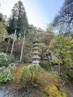 大谷寺の{uncategorized: "未分類", other: "その他", undefined: "問題あり", building: "その他建物", grave: "お墓", sacred_gate: "鳥居", guardian: "狛犬", statue: "像", buddha: "仏像", history: "歴史", nature: "自然", garden: "庭園", animal: "動物", pagoda: "塔", temizu: "手水舎", mountain_gate: "山門・神門", sanctuary: "本殿・本堂", subordinate: "末社・摂社", art: "芸術", scenery: "景色", jizo: "地蔵", ema: "絵馬", goshuin: "御朱印", omikuji: "おみくじ", items: "授与品その他", amulet: "お守り", goshuincho: "御朱印帳", eats: "食事", festival: "お祭り", votive_dance: "神楽", shichigosan: "七五三参", wedding: "結婚式", experience: "体験その他", initially: "初詣", around: "周辺", anti_infection: "感染症対策"}