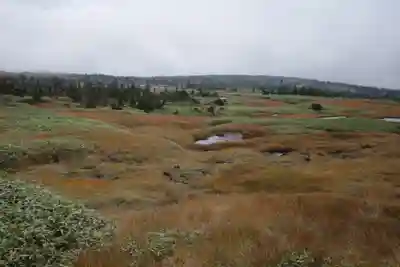苗場神社　奥の院の景色