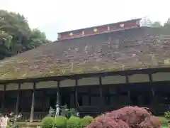 大雄寺の本殿