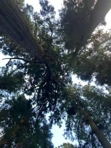 大宮温泉神社(栃木県)