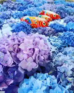 金井神社のその他建物(2021年06月02日(水) 02時59分28秒投稿)