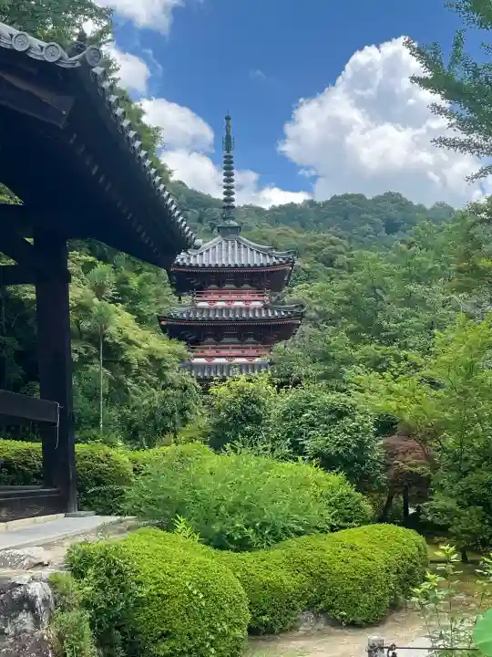 三室戸寺(京都府)