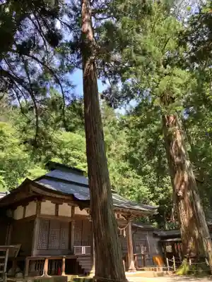 日枝神社(岐阜県)